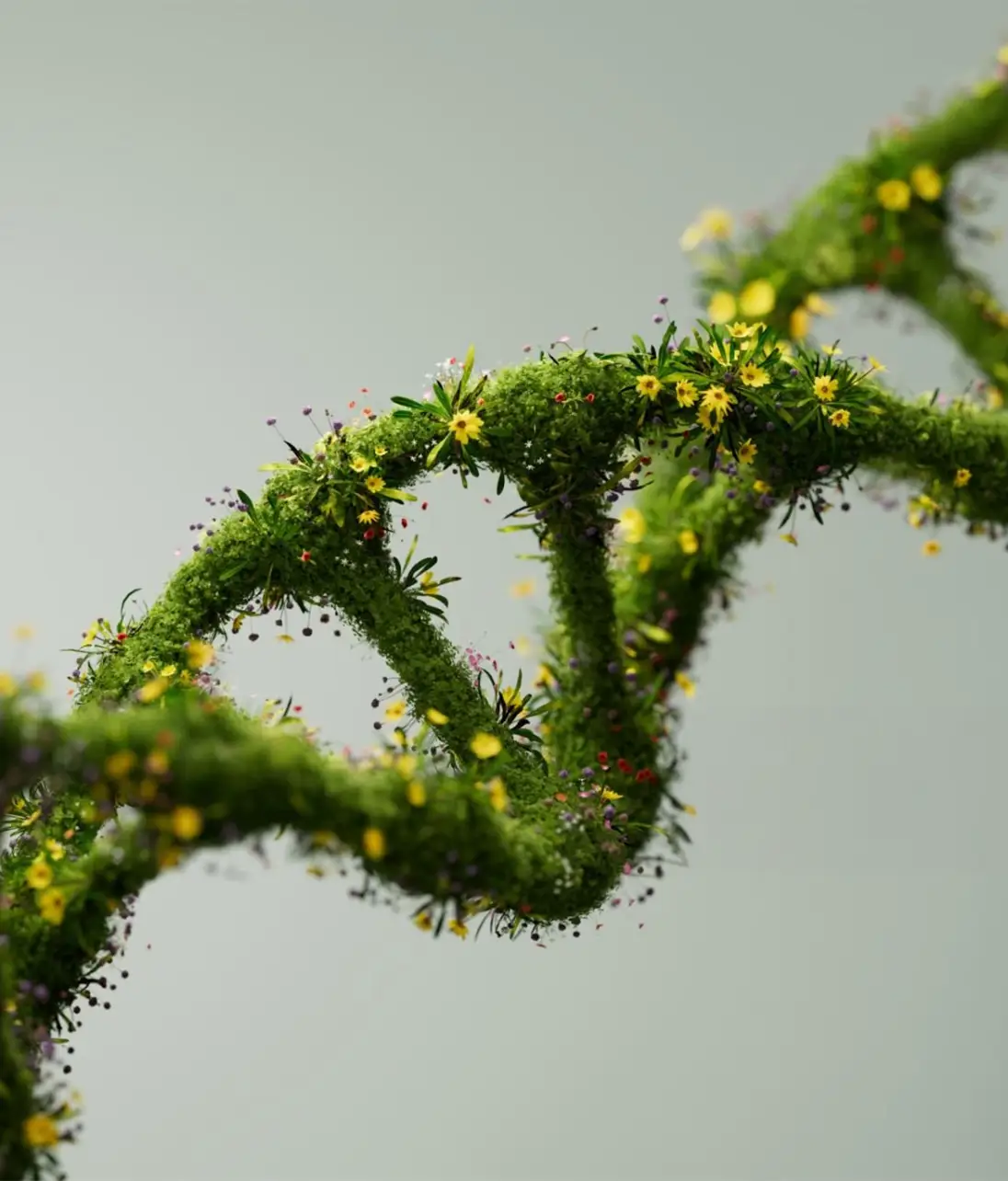 Helix covered in plants