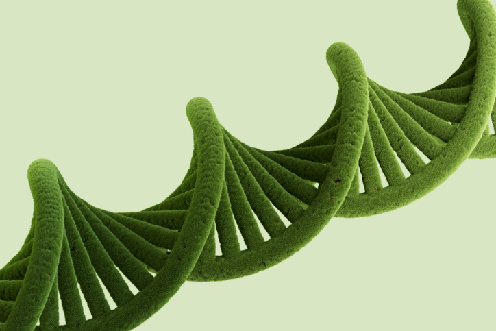 Green double helix with plant texture