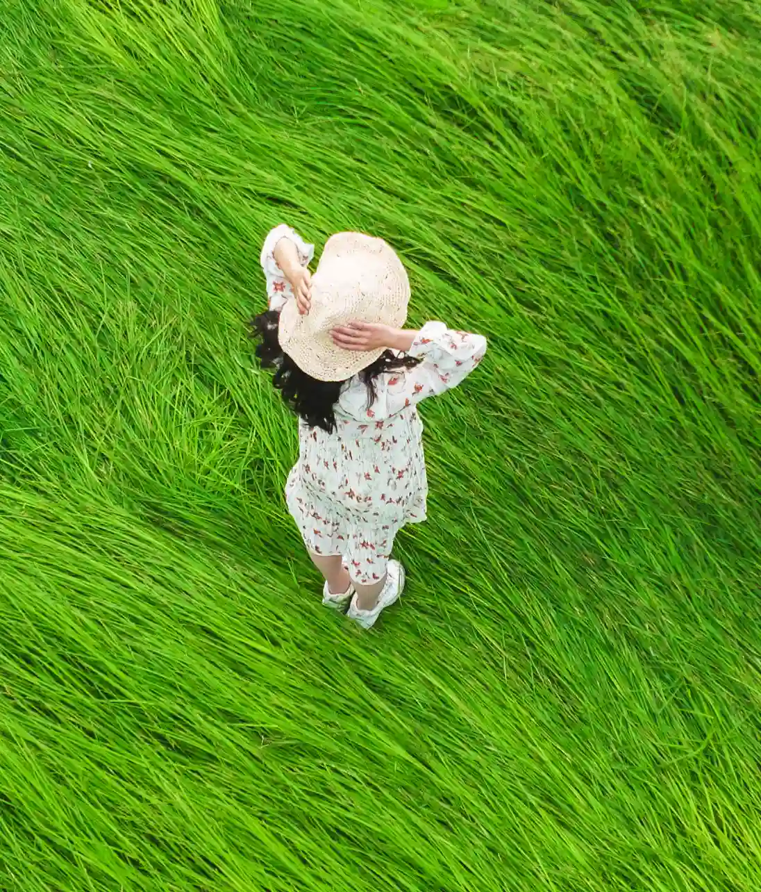 Aerial view of a woman standing in a field of long grass while holding a hat to her head