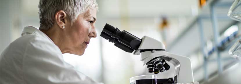 Research & Development Research & Development