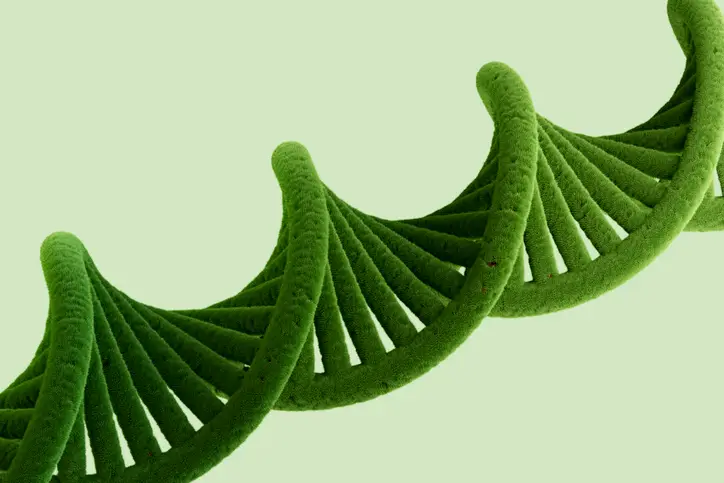 Green DNA helix