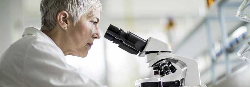 Investigación y Desarrollo Investigación y Desarrollo