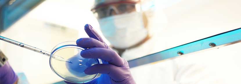 Bioequivalence Bioequivalence